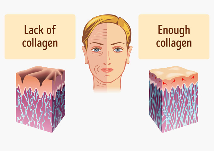 10 thực phẩm giàu collagen ăn thường xuyên giúp da chậm lão hóa