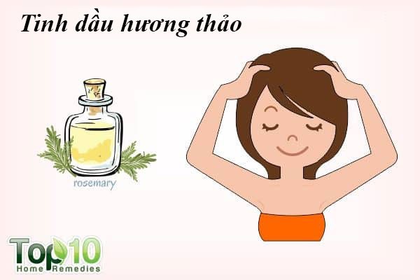 Mách nhỏ, 10 cách trị rụng tóc từ thiên nhiên hiệu quả nhất