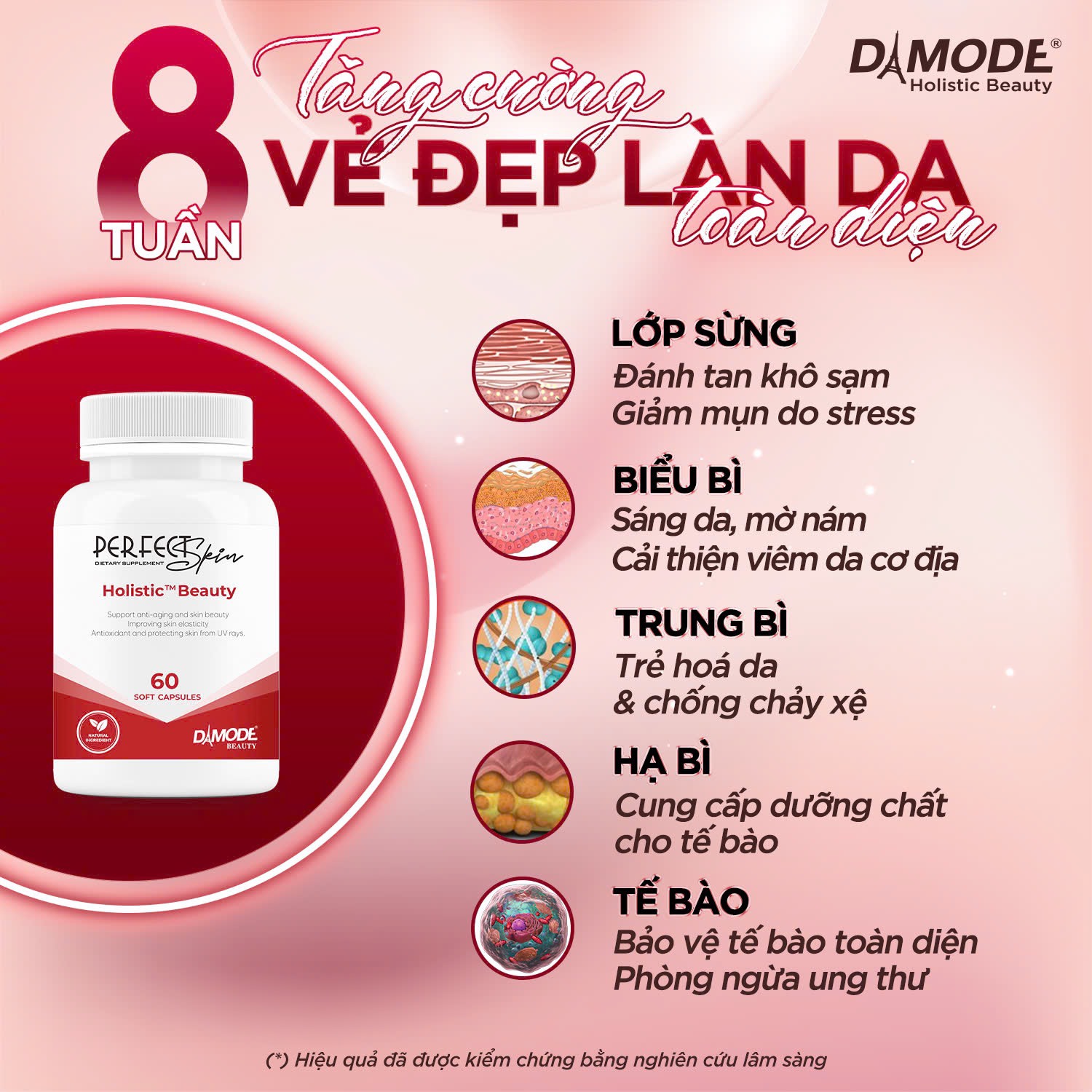 HO.LIS.TIC BEAUTY - ĐẸP TOÀN DIỆN